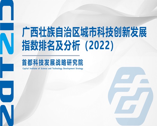 黄色逼逼視頻【成果发布】广西壮族自治区城市科技创新发展指数排名及分析（2022）